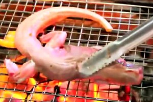 越南经典美食，炭烤蜥蜴